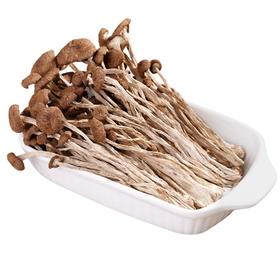 茶树菇（约200g）