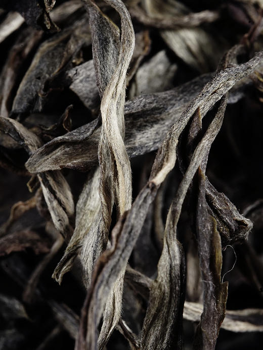 【曼夕老寨单株】2024年头春头采曼夕老寨古树单株，千元价品鉴到万元茶的体验；高端木箱装赠手提袋，500克/箱，散茶，拍5发6拍20发25 商品图2