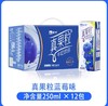 蒙牛250g真果粒牛奶饮品（蓝莓味） *12盒/箱 商品缩略图0