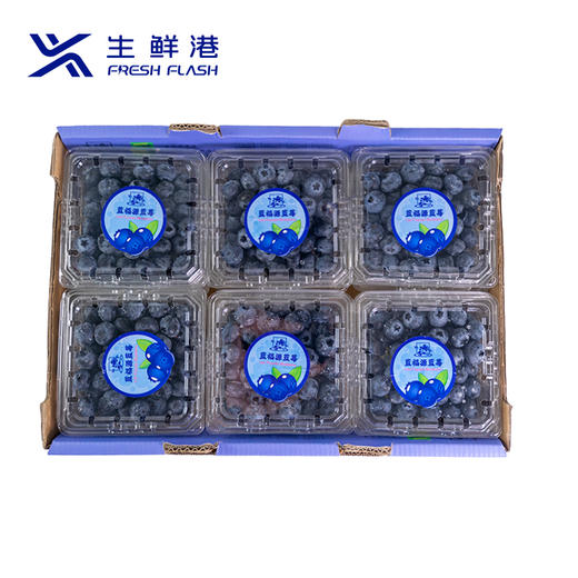 云南超大蓝莓12盒*125g（包装随机） 商品图0