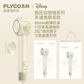飞科吹风机FH6372(朱迪)