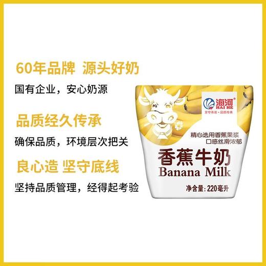海河220ml香蕉牛奶 商品图7