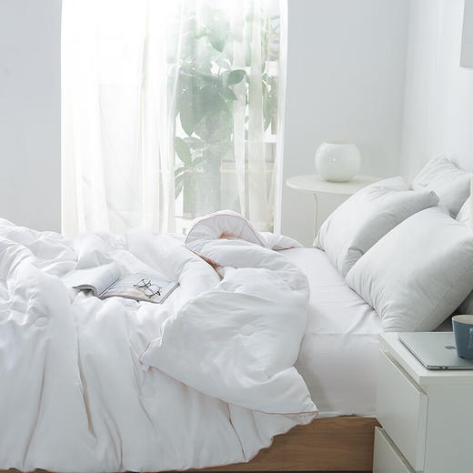 多喜爱  纤维被  舒柔亲肤大豆冬被  203*229cm 商品图3