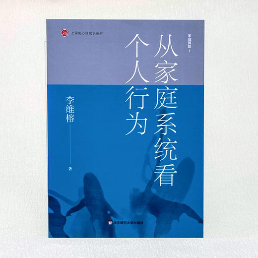 家庭舞蹈 1 从家庭系统看个人行为 李维榕 家庭教育 家庭治疗真实案例 商品图2