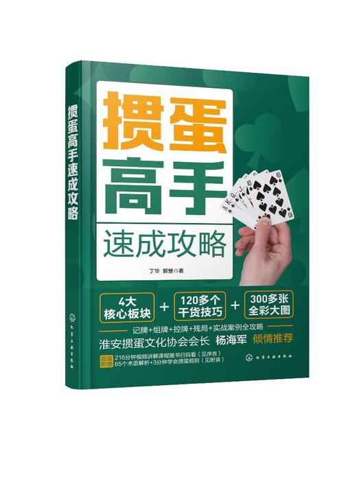 掼蛋高手速成攻略 商品图0