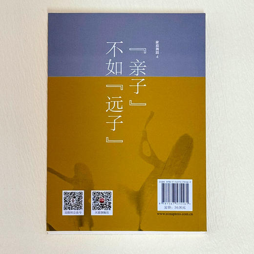 家庭舞蹈 4 “亲子”不如“远子” 李维榕 家庭教育 家庭治疗真实案例 商品图2