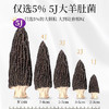 在菌屋精品大个头羊肚菌80g/罐 8cm以上大颗粒 个大肉厚鲜香丰腴 商品缩略图2