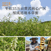 黄芪蜂蜜珍稀药花蜜 多重营养  滋补好蜜 商品缩略图1