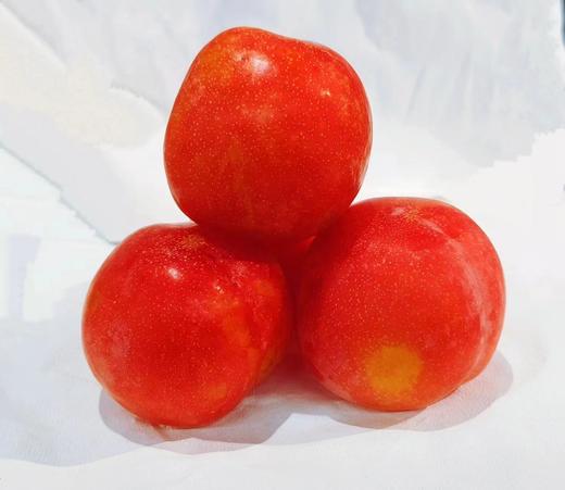 红李子(500±50g) 商品图0