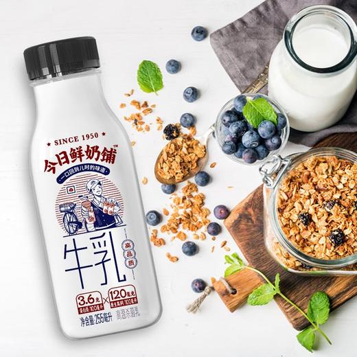 新希望255ml今日鲜奶铺瓶装牛奶 商品图2