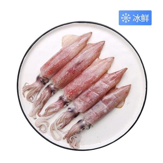 冰鲜笔管鱼（1000±50g） 商品图0