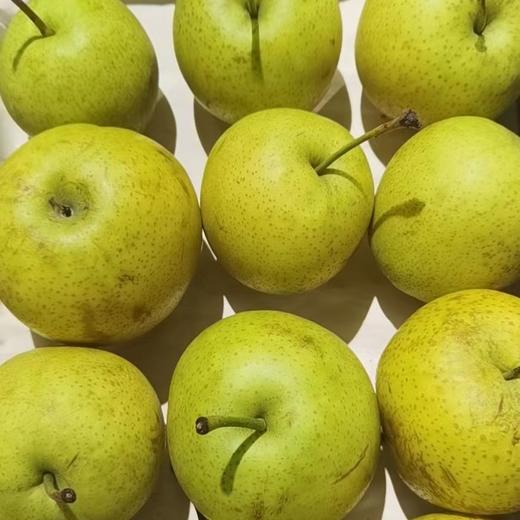 谢花甜梨（约1000g） 商品图1