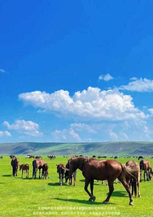 【去贝加尔湖】俄罗斯出境游11日精品游 商品图1