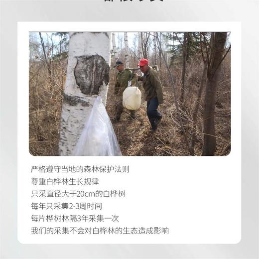 Ileven白桦树汁浓缩液 商品图1