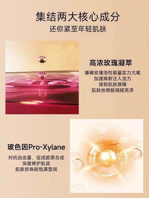 兰蔻菁纯面霜60ml轻盈版 商品图6