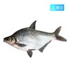 【鲜活】武昌鱼（800g±50g） 商品缩略图0