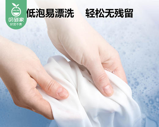 【预售-4月17日配送】白蘭精油香氛除螨洗衣精/1瓶（4.08kg） 商品图2