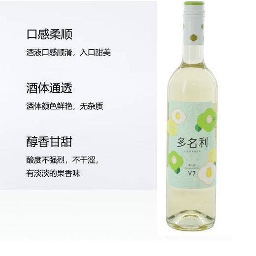 T张裕多名利750ml花香系列v7半干白葡萄酒 商品图1