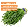 广缘韭菜.（450±50g） 商品缩略图0