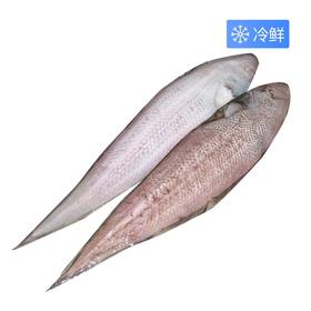 塔目尖（500±50）