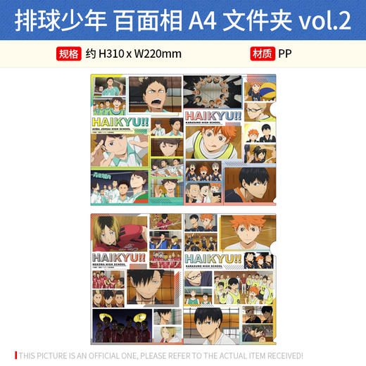 TwinCre 日本正版 排球少年 百面相夹子 A4文件夹vol.2 周边谷子 商品图1