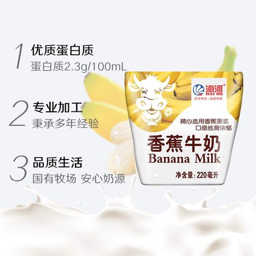 海河220ml香蕉牛奶 商品图1