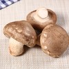 香菇(300±30g) 商品缩略图1