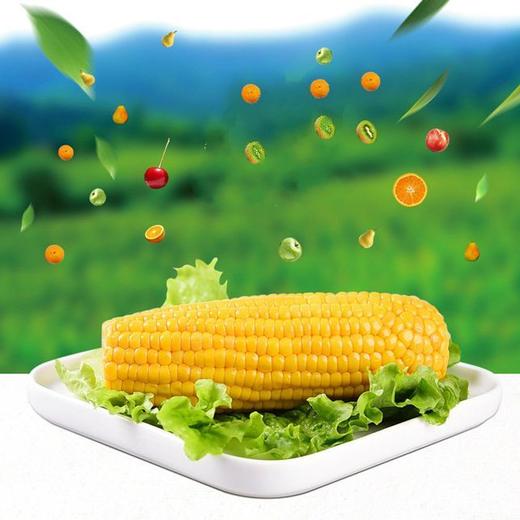 东北农嫂水果玉米 商品图1