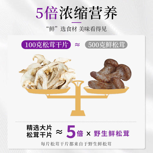 在菌屋云南野生大片松茸 商品图3