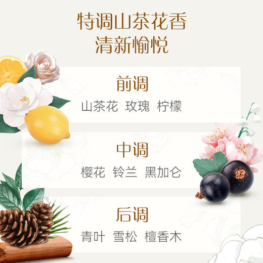 洁柔牌纸手帕(山室茶花香超迷你)6片4层(30包装) 商品图2