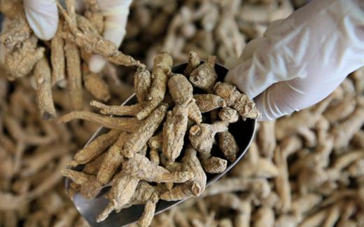 土灶木柴传统滋补蒸60小时玉灵膏手剥桂圆肉美国花旗参 商品图3