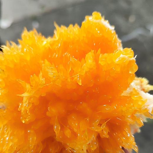 四川甘平柑橘（500±50g) 商品图1