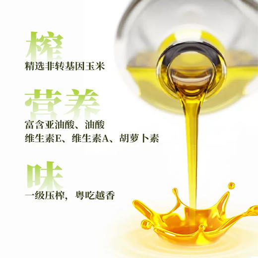 盘中餐金樽压榨鲜胚玉米油5L 商品图1