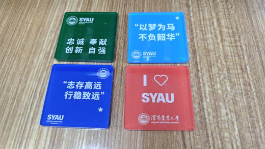 沈农冰箱贴亚克力软磁吸装饰 商品图3