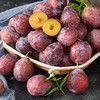 新疆法兰西西梅（500±20g） 商品缩略图3