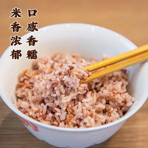 丨有机丨五色米 七约农场 有机种植 山泉水灌溉 无农药化肥除草剂 商品图3