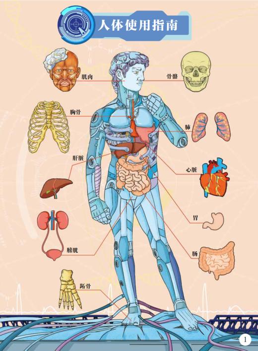 《人体工程师：立体书》 商品图10