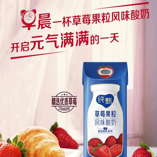 蒙牛200g纯甄草莓果粒风味酸奶*10 商品图2
