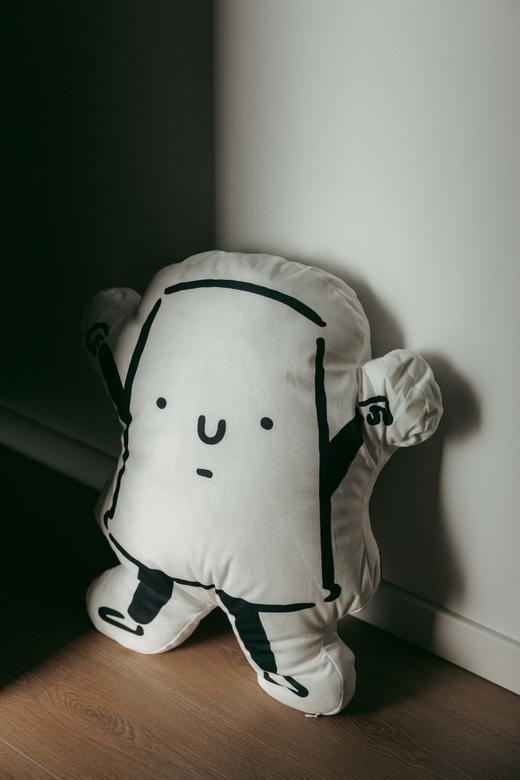 Katalogue x WHOSMiNG合作款抱枕 商品图0