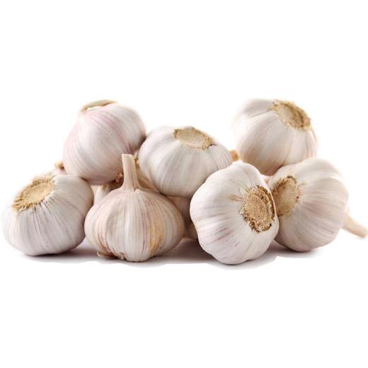 邳州大蒜（500±30g） 商品图0