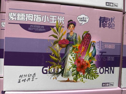 傣小粒紫糯拇指小玉米1kg礼盒装 商品图0