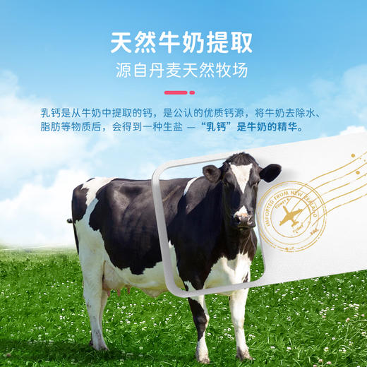 葆迪乐乳钙（孕妇装） 商品图1