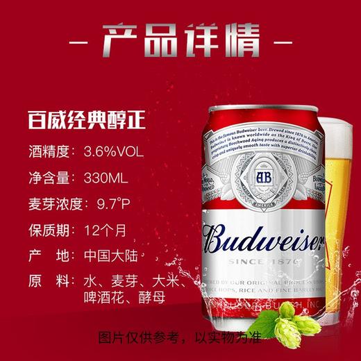 C百威330ml啤酒KA装六连包（箱） 商品图2