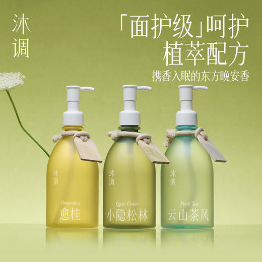 【香水级“伪”体香】沐调植萃沐浴露 350ml/瓶 小隐松林（松香味）愈桂（桂花味）云山茶风（柑橘调） 商品图12