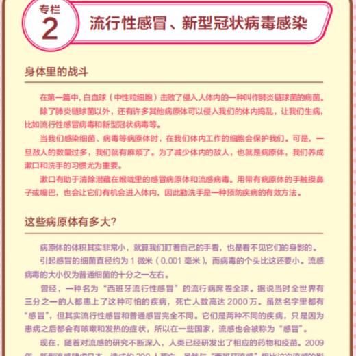 《工作细胞》彩色Q版（3-4册） 商品图12