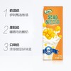 伊利245g果粒(芒果味)*12 商品缩略图1