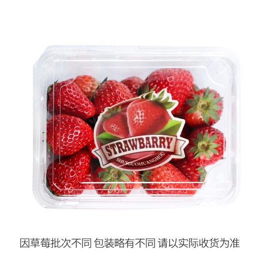 美吉蔬香野草莓（盒） 商品图0