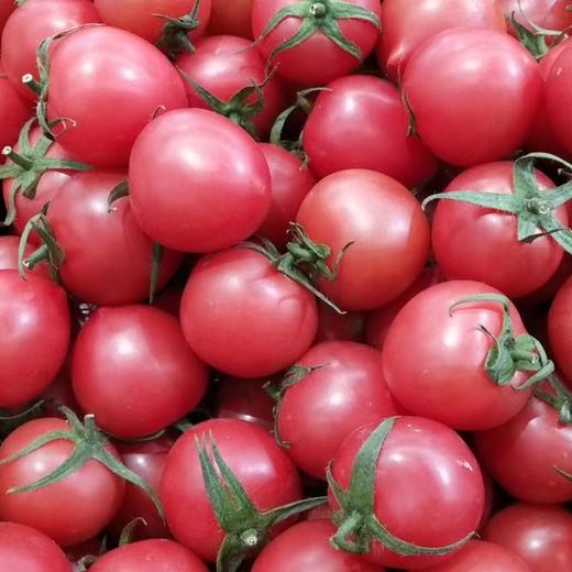 春桃小柿子(500±50g) 商品图1