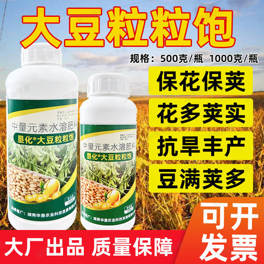 湖南华垦正品大豆粒粒饱黄豆毛豆粒粒饱硼钼肥籽粒饱满壮苗抗旱 商品图3