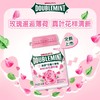 T绿箭40粒玫瑰薄荷味瓶装口香糖 商品缩略图1